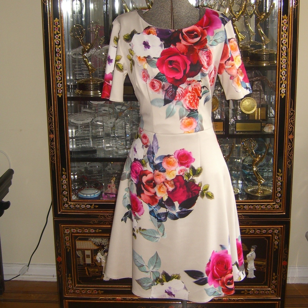 NWT PHASE EIGHT FLORAL PRINT DRESS 6